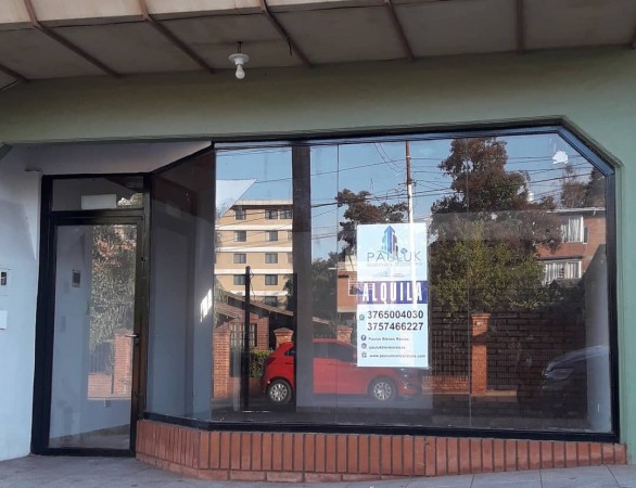 LOCALES COMERCIALES Y TERRENO