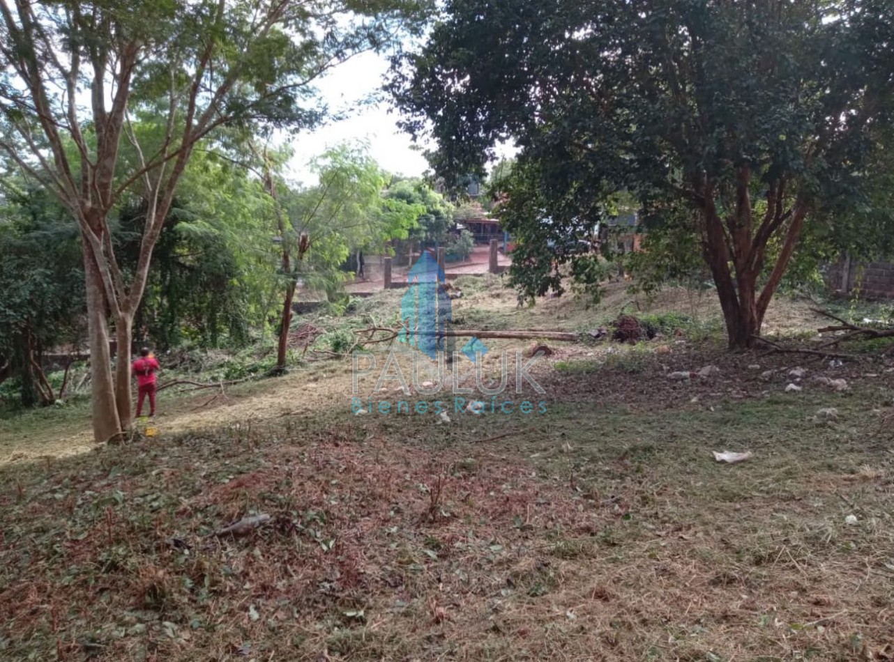 TERRENO 