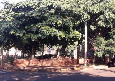 TERRENO CENTRICO!!!!