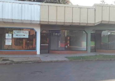 LOCALES COMERCIALES Y TERRENO